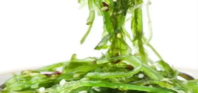 裙带菜属于海鲜类吗
