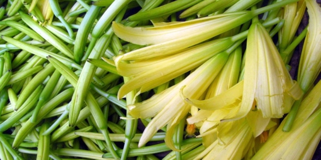 黄花菜花蕊能吃吗