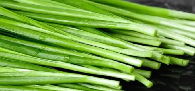 韭菜多长时间割一次最好