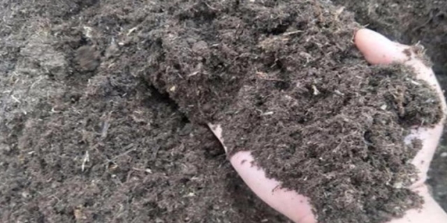 腐殖土是什么样的土